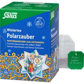 Polarzauber Früchte-Gewürztee Bio Salus Filterbtl.
